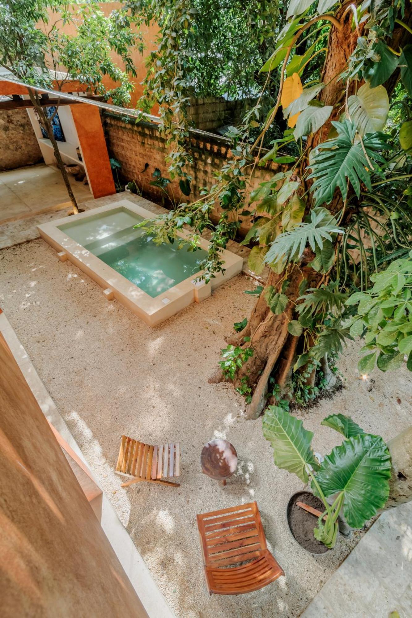 Mamacha - Natural Residence Valladolid  Zewnętrze zdjęcie